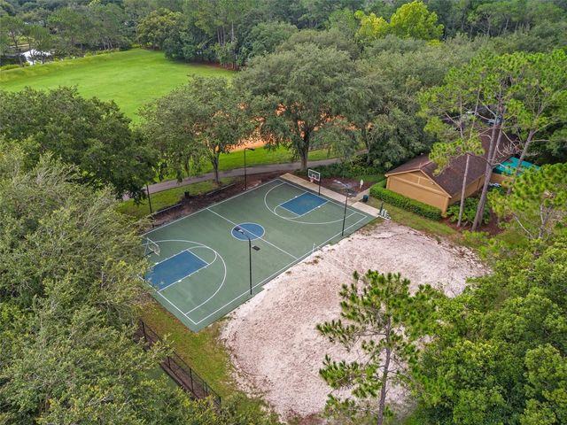 17805 GREEN WILLOW DRIVE, Tampa, FL 33647