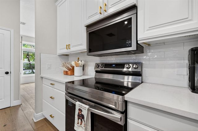 17805 GREEN WILLOW DRIVE, Tampa, FL 33647