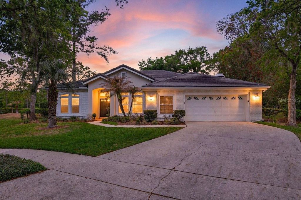 17805 GREEN WILLOW DRIVE, Tampa, FL 33647