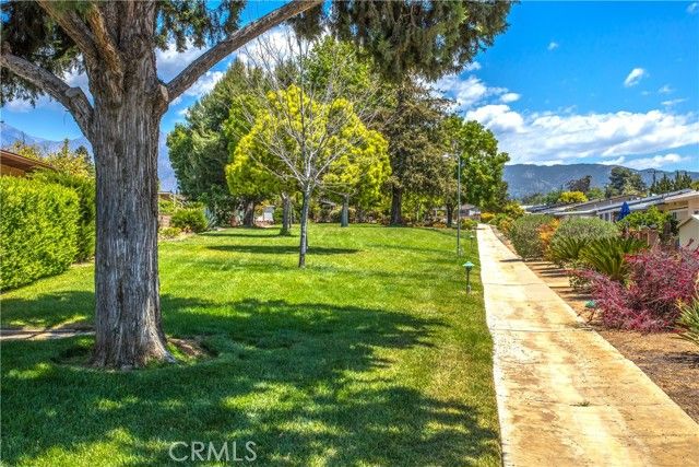 34350 Cedar Avenue, Yucaipa, CA 92399