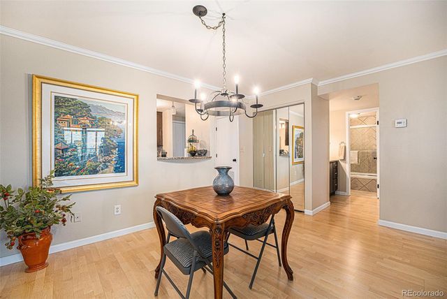 800 N Pearl Street 1109, Denver, CO 80203