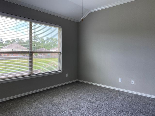 42 Black Swan Court, The Woodlands, TX 77354