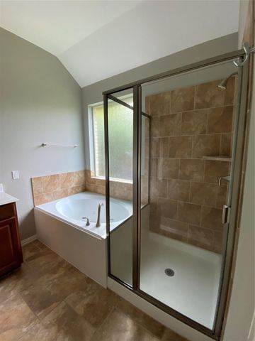 42 Black Swan Court, The Woodlands, TX 77354
