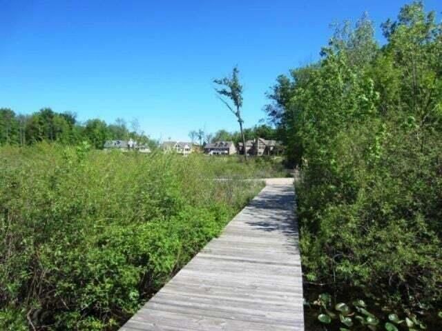 5949 Osprey Lane, Watervliet, MI 49098