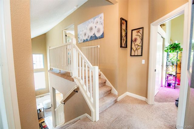 4855 N Sungold Lane, Castle Rock, CO 80109