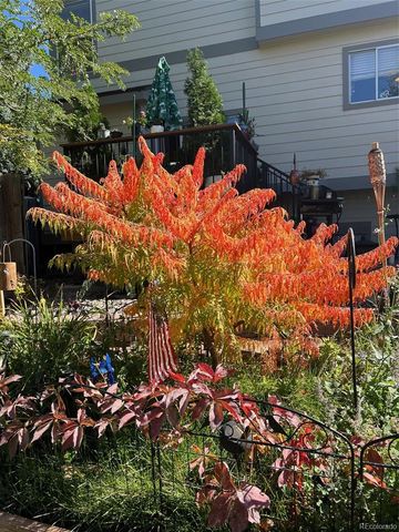 4855 N Sungold Lane, Castle Rock, CO 80109