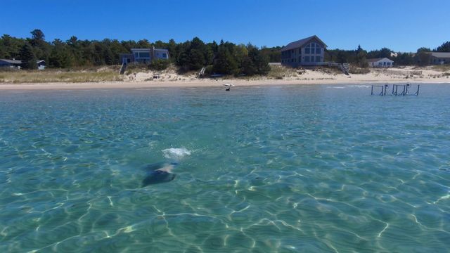 14619 N Cathead Bay Drive, Leelanau Twp, MI 49670