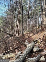 0 Log Swamp Drive, Jasper, GA 30143