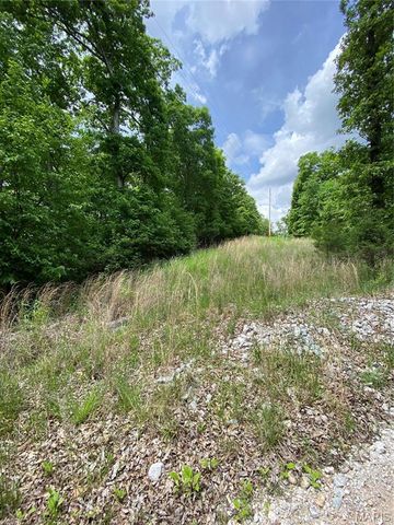 0 Steeple Rock Drive, Defiance, MO 63341
