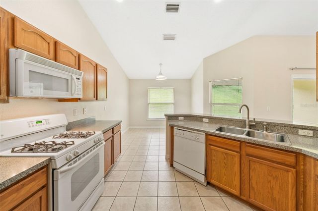 13039 ANTIQUE OAK STREET, Clermont, FL 34711