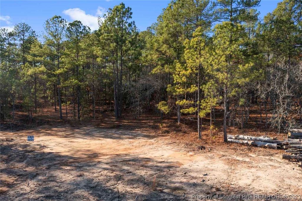 Cherrywood Lane, Cameron, NC 28326 — photo 11