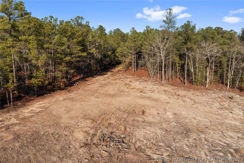 Cherrywood Lane, Cameron, NC 28326 — photo 8