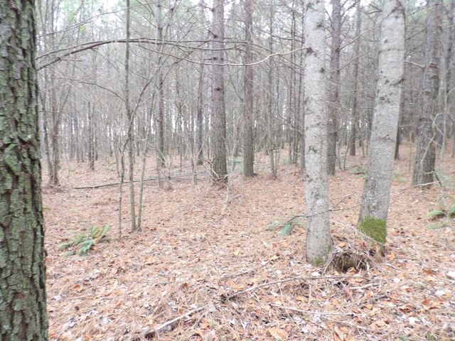 Lot 19 Summercity Road, Evensville, TN 37332