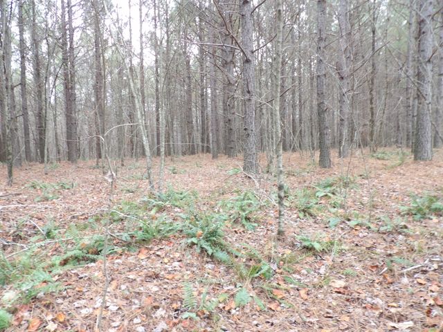 Lot 19 Summercity Road, Evensville, TN 37332