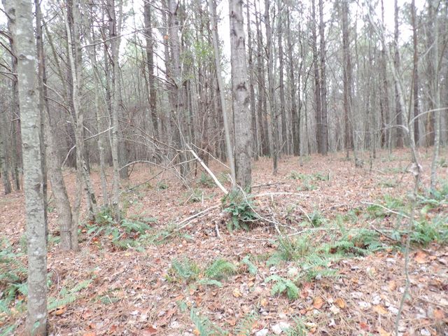 Lot 19 Summercity Road, Evensville, TN 37332