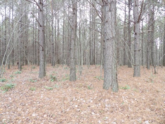 Lot 19 Summercity Road, Evensville, TN 37332
