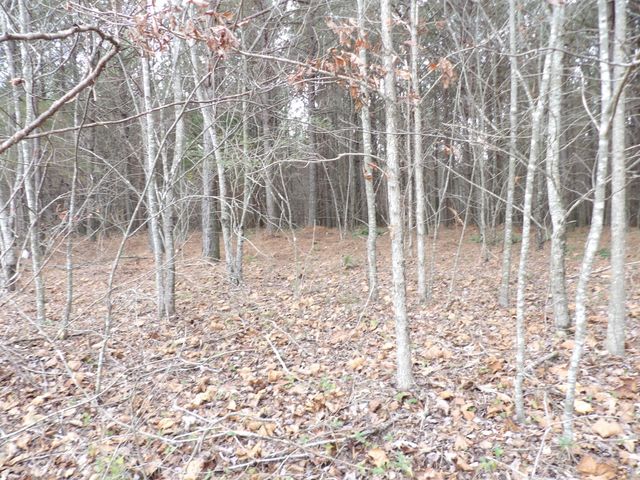 Lot 19 Summercity Road, Evensville, TN 37332