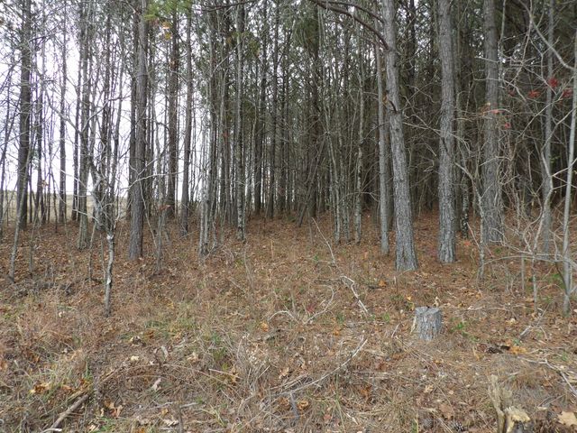 Lot 19 Summercity Road, Evensville, TN 37332