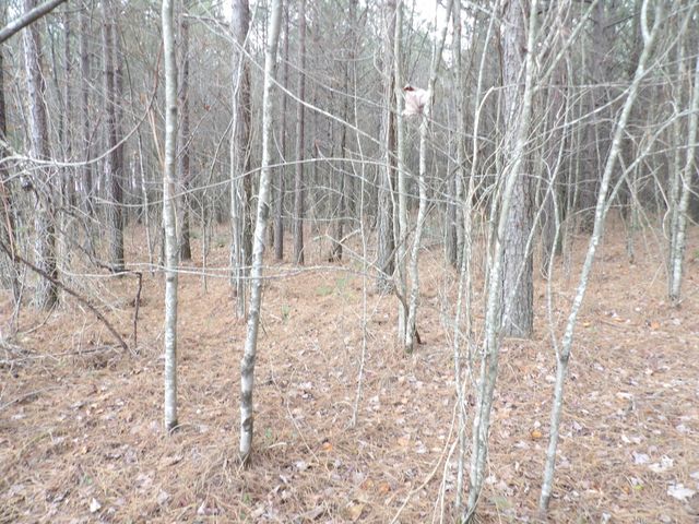 Lot 19 Summercity Road, Evensville, TN 37332