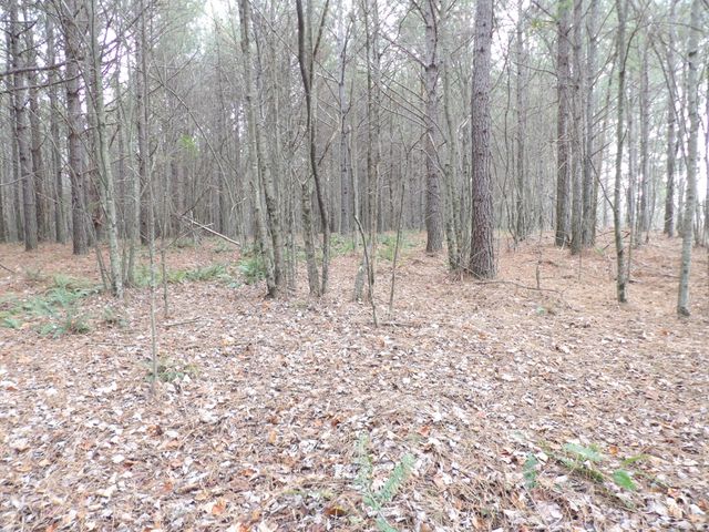 Lot 19 Summercity Road, Evensville, TN 37332