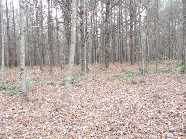 Lot 19 Summercity Road, Evensville, TN 37332