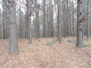 Lot 19 Summercity Road, Evensville, TN 37332
