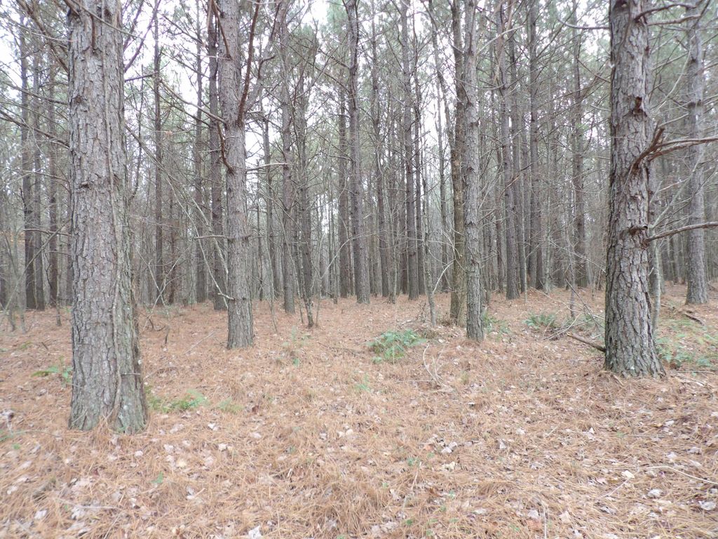 Lot 19 Summercity Road, Evensville, TN 37332