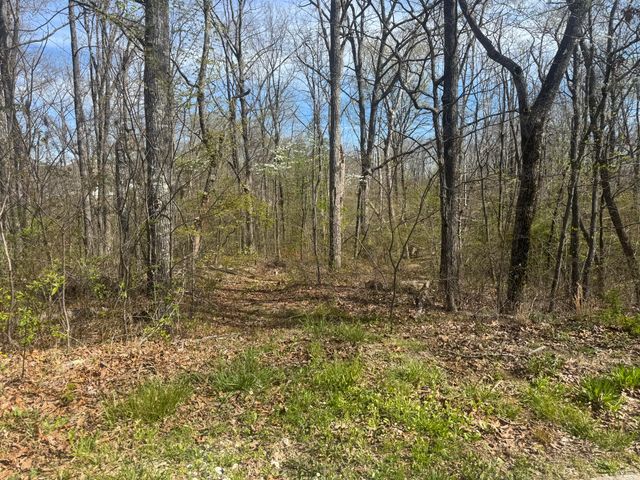 2401 Anchor Trail 81, Signal Mountain, TN 37377