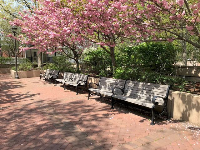 9 Hawthorne Place 7G, Boston, MA 02114