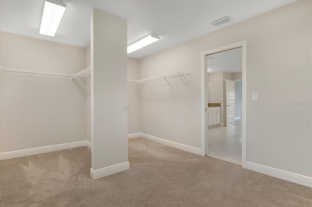 12859 SATIN LILY DRIVE, Riverview, FL 33579