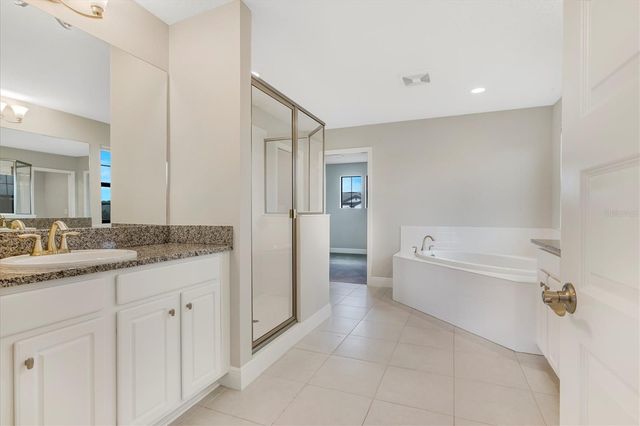 12859 SATIN LILY DRIVE, Riverview, FL 33579
