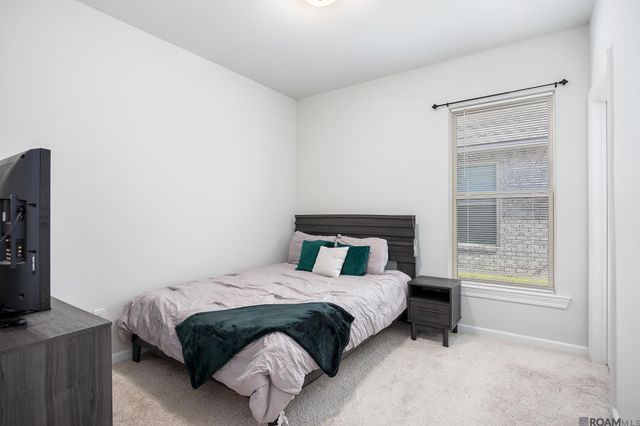 11589 Regal St, Denham Springs, LA 70726