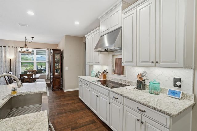 33564 WILLOW POINT CT, Wesley Chapel, FL 33545