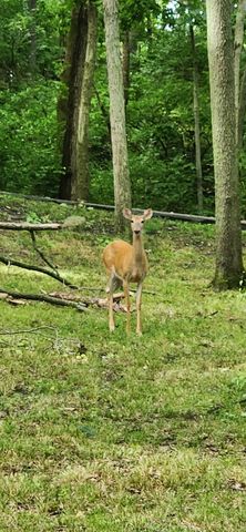 3085 W Southmor Road, Morris, IL 60450