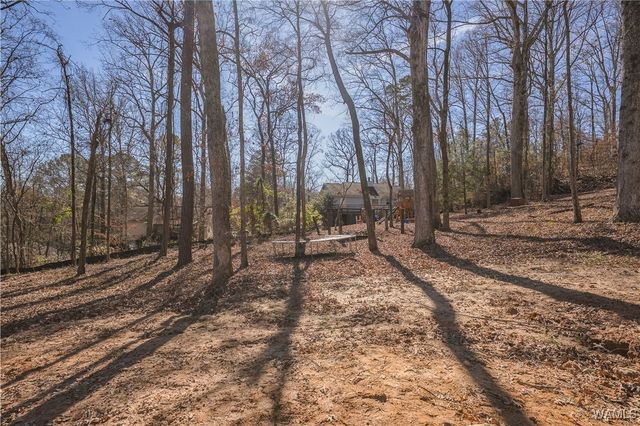 4511 Oak Hill, Northport, AL 35473