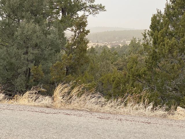 156 Holli Loop, Edgewood, NM 87015