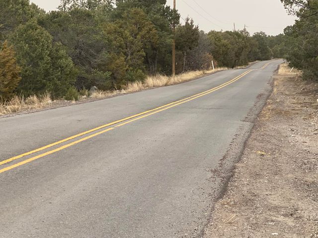 156 Holli Loop, Edgewood, NM 87015