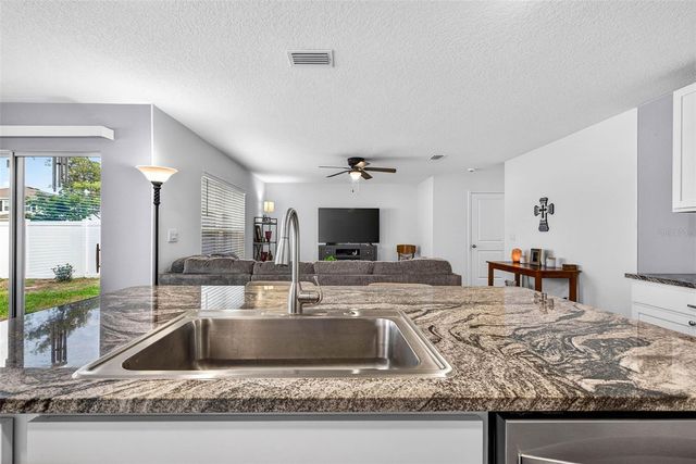 13765 WHISKEY DAISY DRIVE, Dade City, FL 33525