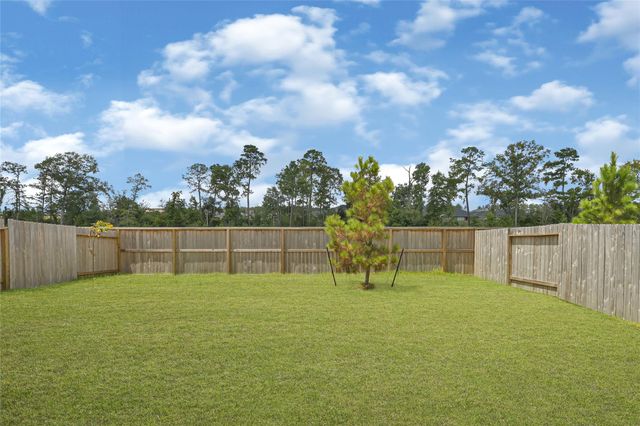 23708 Patchouli Terrace Drive, Splendora, TX 77372