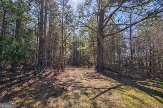 202 Kent Rock Road TRACT 4, Loganville, GA 30052