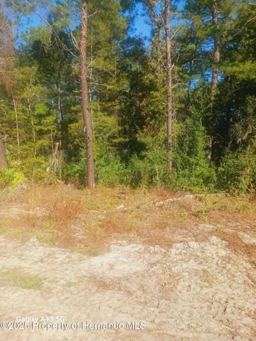 6407 W Oak Park Boulevard, Homosassa, FL 34446