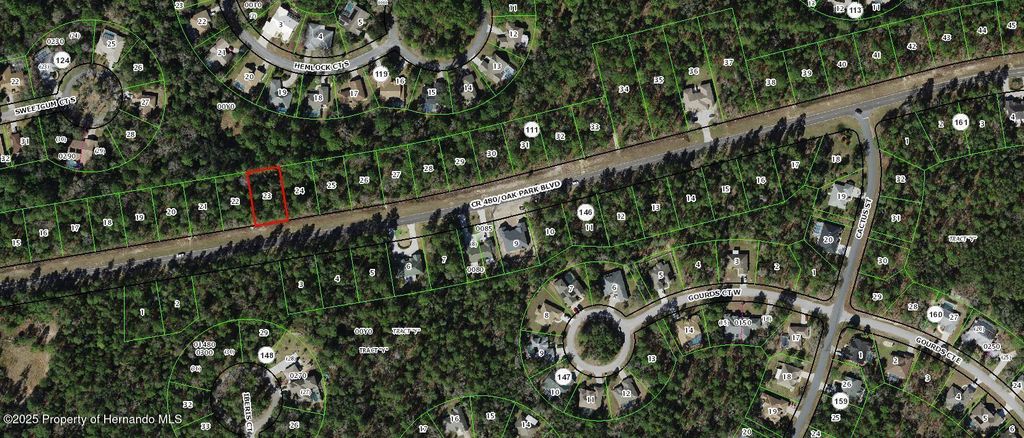 6407 W Oak Park Boulevard, Homosassa, FL 34446