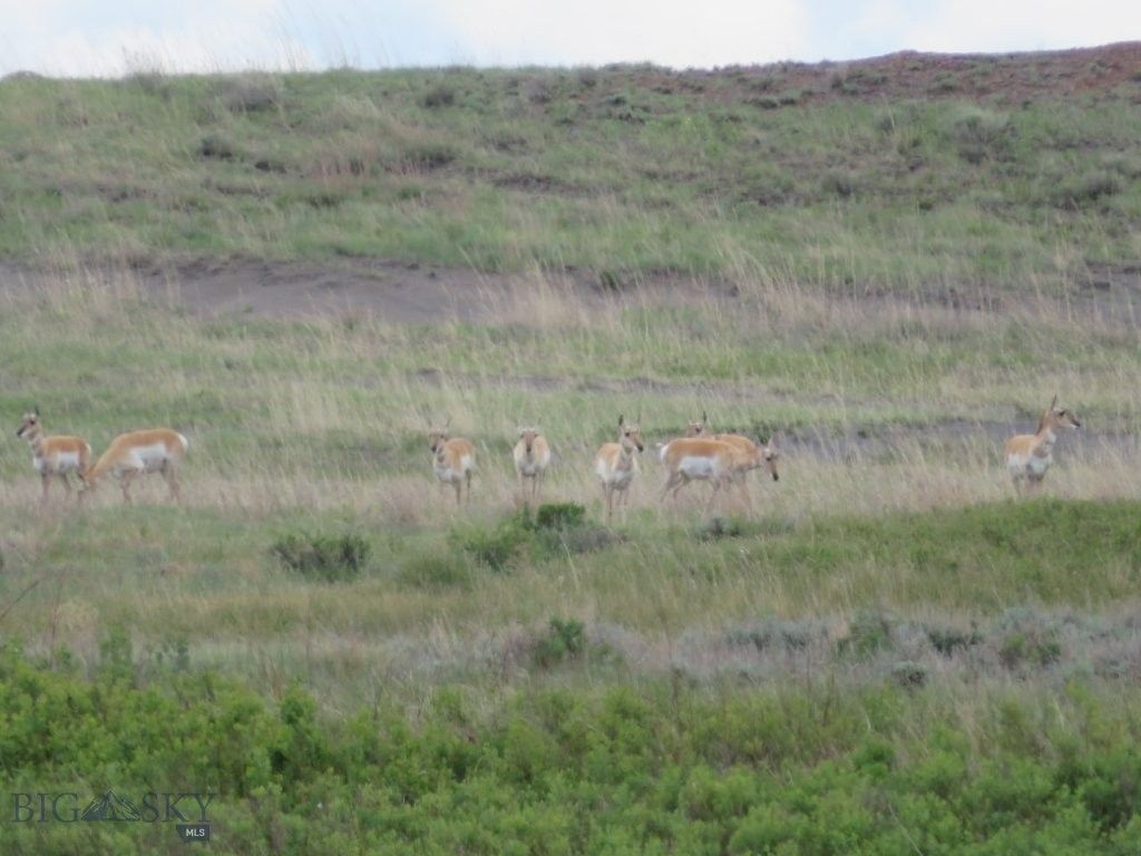 TBD Elk Creek Road, Winnett, MT 59087 photo 3