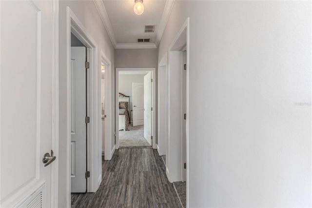 3356 OLEANDER DRIVE, Hernando Beach, FL 34607