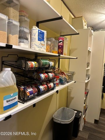 13709 KATIE JOHNSON Lane, Sanderson, FL 32087