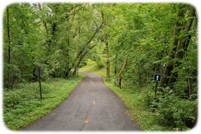 15375 75th Place N, Maple Grove, MN 55311