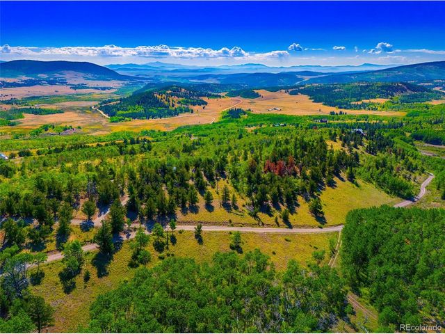 210 Pine Ridge Rd, Fairplay, CO 80440