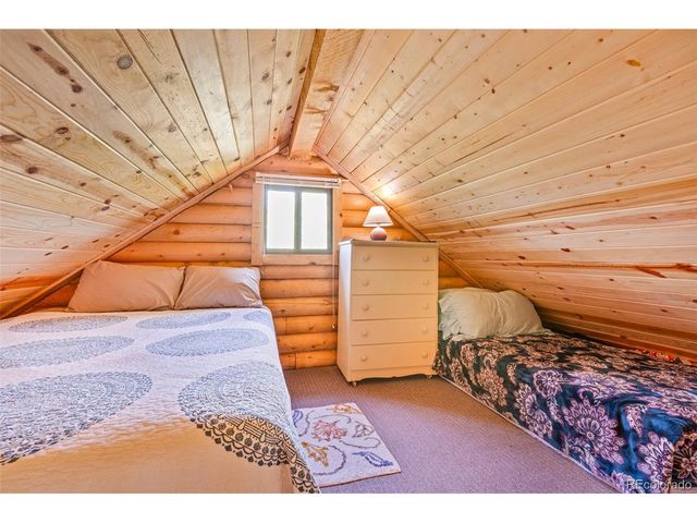 210 Pine Ridge Rd, Fairplay, CO 80440