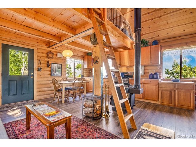 210 Pine Ridge Rd, Fairplay, CO 80440
