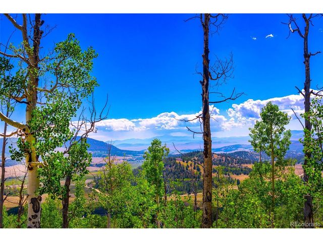210 Pine Ridge Rd, Fairplay, CO 80440